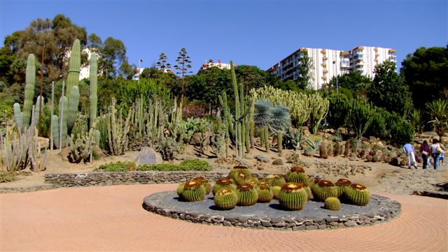 cactus_benalmadena_Isabel_Menendez.JPG