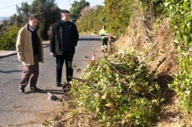 “En total son tres  trabajadores los que están procediendo a desbrozar las aceras y los arcenes. Los trabajos comenzaron hace una semana y se prologarán durante otra más”, ha explicado el concejal, Juan José Jiménez.