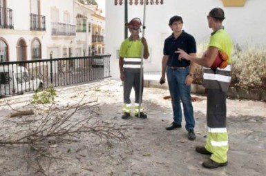 La intervención contempla el arreglo de zonas ajardinadas, reparación del mobiliario urbano y labores de limpieza