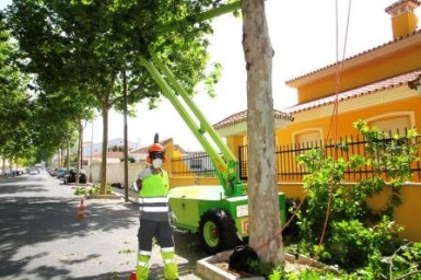 Archivo. Las actuaciones se han centrado en las calles Golondrina y Vencejo, y han contemplado labores de poda y desbroce de árboles, el arreglo de las zonas ajardinadas y la reparación del mobiliario urbano. 