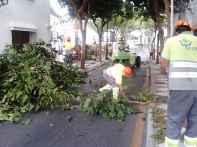 Los trabajos tienen el objeto de permitir el paso del autobús turístico de dos plantas hasta el Mariposario y la Estupa de la Iluminación.
