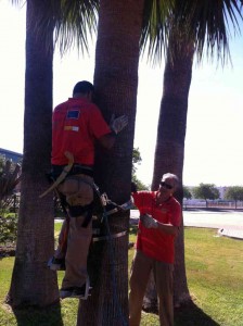 trabajos alumnos benemplea