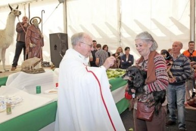 Como cada año, las mascotas recibirán la bendición del párroco don Antonio Lorén, además de golosinas y aperitivos para que disfruten de su fiesta”.