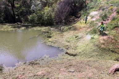 La no coincidencia de las huellas localizadas en los humedales con las del cocodrilo del Nilo hallado muerto este pasado martes lleva a los investigadores a pensar en la existencia de un segundo reptil.