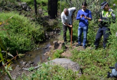 El objetivo del equipo de gobierno es que el animal disecado sea expuesto en algún punto de concentración turística del municipio.