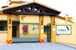 Los fondos obtenidos por la Peña Virgen de la Cruz de la rifa de Navidad se han entregado a Cudeca