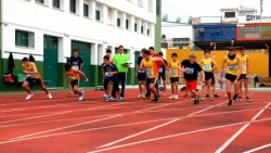 El Patronato Deportivo Municipal de Benalmádena, dentro de su programa de mejoras de las instalaciones deportivas municipales, acaba de concluir la cubierta del edificio auxiliar ubicado en la pista de atletismo del Polideportivo Municipal de Arroyo de la Miel. 