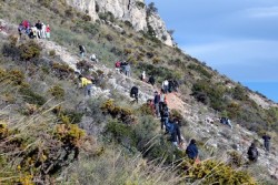 La alcaldesa de Benalmádena, Paloma García Gálvez, participó el pasado sábado en el Plan de Restauración de Espacios Naturales. Un evento impulsado por la Mancomunidad de Municipios de la Costa del Sol Occidental, a través de la Delegación de Medio Ambiente del Ayuntamiento de Benalmádena, que tuvo como principal objetivo la reforestación de la zona próxima a la Ermita que hay en la sierra benalmadense.
