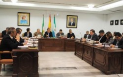 El Pleno del Ayuntamiento de Mijas ha aprobado hoy la ampliación del plazo de fraccionamiento para el pago de impuestos a los contribuyentes que tengan deudas con el Consistorio. De esta manera, el periodo máximo se ha duplicado, de dieciocho a 36 meses.