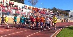 Un total de 10 centros educativos de lalocalidad participaron en las categorías de benjamín y alevín de atletismo en los géneros masculino y femenino celebradas ayer en las pistas polideportivas de Benalmádena.