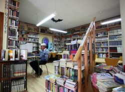 La Biblioteca ‘Manuel Altolaguirre’ y la Biblioteca Escolar ‘Jacaranda’, ambas de Benalmádena Pueblo, han organizado el I Itinerario Literario ‘Concha Méndez’, una jornada que tendrá lugar el próximo  sábado, 10 de mayo, a partir de las 10:00 horas, y que estará dedicada a las mujeres