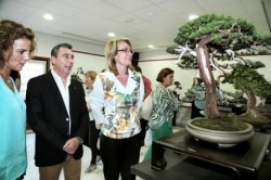 La alcaldesa de Benalmádena, Paloma García Gálvez, inauguró ayer la XXV Muestra de Primavera de la Asociación Amigos del Bonsái, que estará instalada hasta mañana sábado en la Casa de la Cultura de Arroyo de la Miel. La exposición, organizada por la Asociación Amigos del Bonsái de Benalmádena, con la colaboración de la Concejalía de Cultura, tiene como principal objetivo la difusión del cuidado de estos árboles en miniatura y del ikebana, el arte floral japonés. 