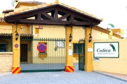 La Peña Nuestra Señora de la Cruz consiguió recaudar un total de 550 euros con la instalación de un puesto de buñuelos en la Plaza de las Tres Culturas, en Benalmádena Pueblo, durante la inauguración de ‘Las Noches de Flamenco y Teatro en el Museo de Arte Precolombino Felipe Orlando’, una actividad organizada por la Concejalía de Cultura del Ayuntamiento cuyas primeras sesiones tuvieron lugar los días 4 y 5 de julio.