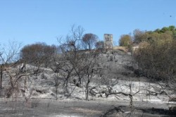 Un balance fruto de un "incendio de gran magnitud y peligro", señaló el alcalde de Mijas, Ángel Nozal, que no supuso una tragedia mayor gracias a la "rápida y efectiva labor", así como por la "valiosa profesionalidad demostrada" por los cuerpos de seguridad, organismos, agrupaciones de voluntarios, empresarios y ciudadanos que colaboraron en las tareas de extinción.