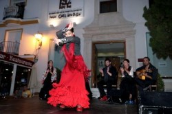  Las Noches de Flamenco y Teatro en el Museo de Arte Precolombino 'Felipe Orlando' arrancaron el pasado fin de semana en Benalmádena Pueblo con un gran éxito de público. La actividad al aire libre, que se celebra por tercer año consecutivo impulsada por la Delegación de Cultura del Ayuntamiento, reunió a más de medio millar de espectadores, entre vecinos y visitantes, para disfrutar el viernes del espectáculo de flamenco 'Luna Flamenca', con la actuación estelar de la bailaora Raquel de Luna.