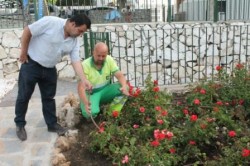 El concejal de Policía Local en el Ayuntamiento de Mijas, Juan Carlos González, ha pedido colaboración ciudadana para identificar a las personas responsables de los actos vandálicos que han tenido lugar en el parque de Osunillas durante la noche del jueves y que se ha saldado con dos árboles cortados, arbustos destruidos y el sistema de riego de agua inutilizable. 