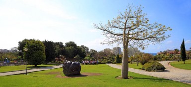 El paseo se celebrará en la jornada del sábado a través del Parque de La Paloma de Arroyo de la Miel, el principal pulmón verde de la localidad