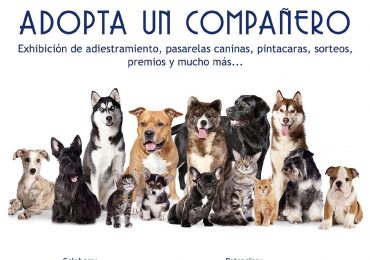 El acontecimiento será en la explanada del Auditórium Príncipe de Asturias