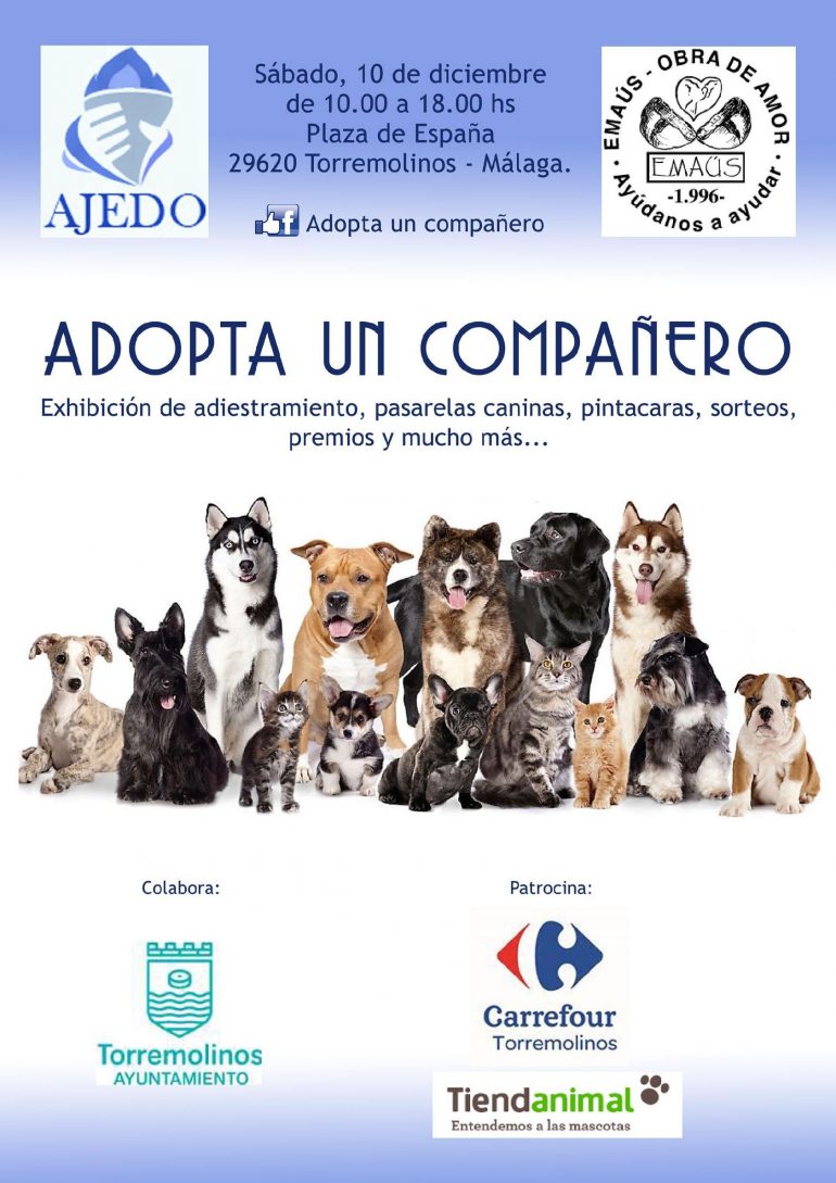 El acontecimiento será en la explanada del Auditórium Príncipe de Asturias