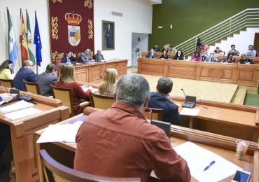 El consistorio ha aprobado hoy en pleno una fórmula para poder continuar con estas iniciativas