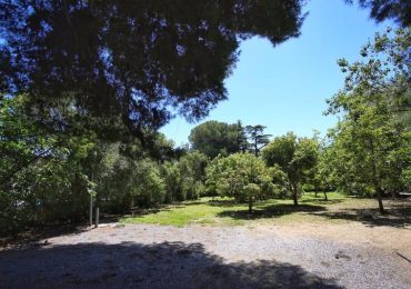 De aproximadamente 11.000 metros cuadrados de superficie en la zona de los Nadales