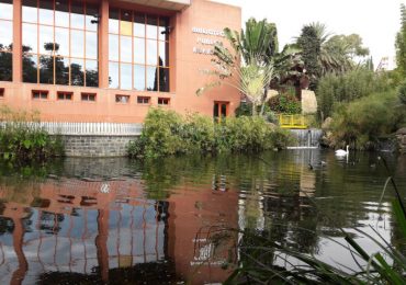 El taller apuesta por aprender sobre música clásica a través del teatro