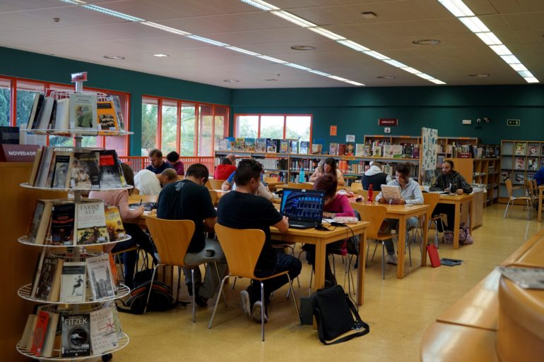 El número de carnets de la Biblioteca abarca más del 42% de la población