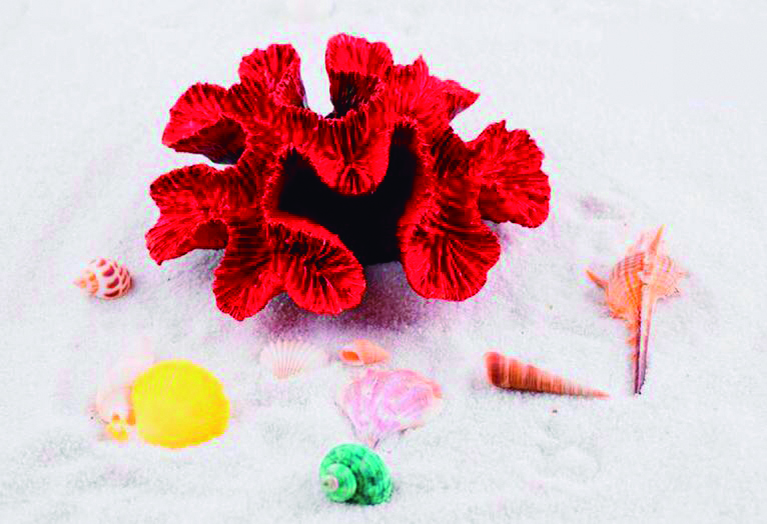 La competición gastronómica tendrá lugar del 20 al 29 de abril