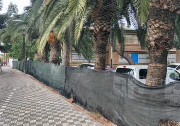 -CEIP Palma de Mallorca