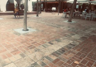 Los arreglos consisten en un drenaje con grava y tratando la zona del tronco del árbol para no dañarlo con caucho negro con resina