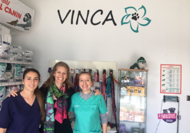 Esta actuación corresponde a la colaboración realizada por parte de la Asociación “Círculo de Mujeres Alquimia”