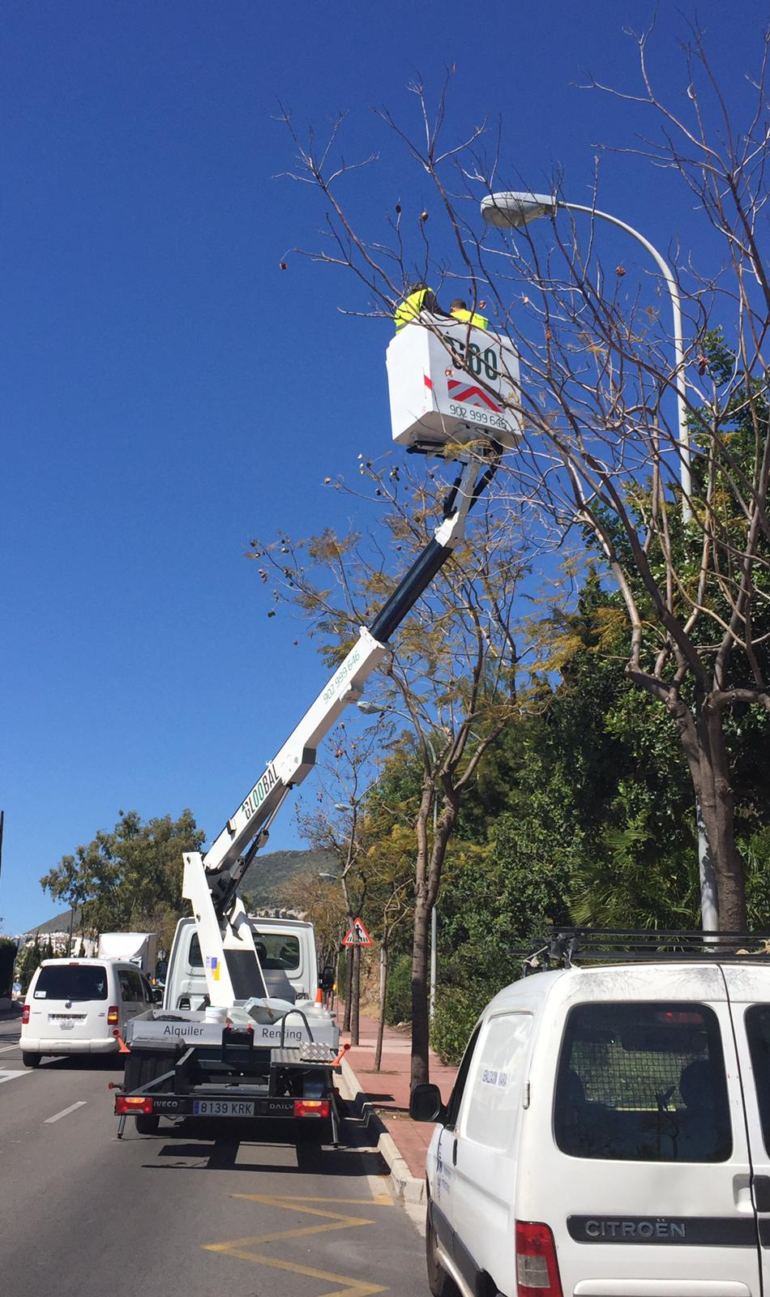 SERVICIOS OPERATIVOS