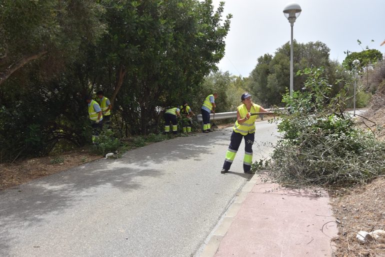 Labores de desbronce para la prevención de incendios en Torreblanca