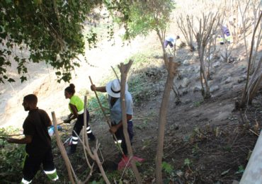 Desbroce arroyo Alcarihuela