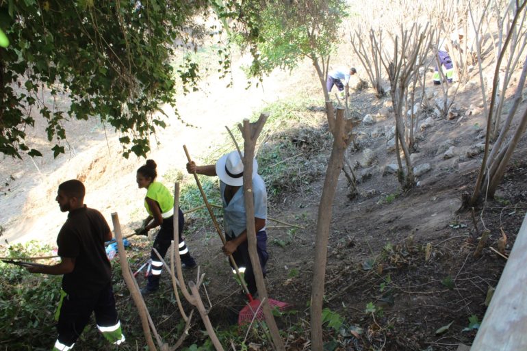 Desbroce arroyo Alcarihuela