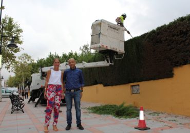 Díaz  y Carrasco trabajos en zonas verdes del colegio El Tejar