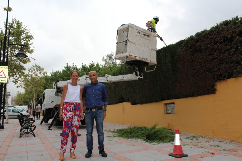 Díaz  y Carrasco trabajos en zonas verdes del colegio El Tejar