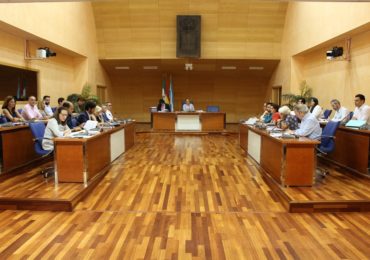 Pleno ordinario de julio 2019