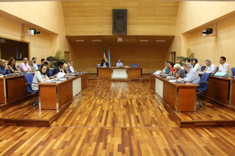 Pleno ordinario de julio 2019