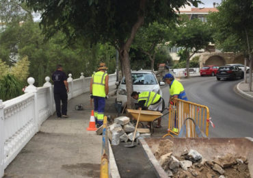 “Los trabajos consisten en la reparación de los alcorques mediante la eliminación de los bordillos, con la finalidad de hacer más transitable y accesible esta importante vía del municipio”, ha detallado el concejal de Servicios Operativos, Salvador Rodríguez