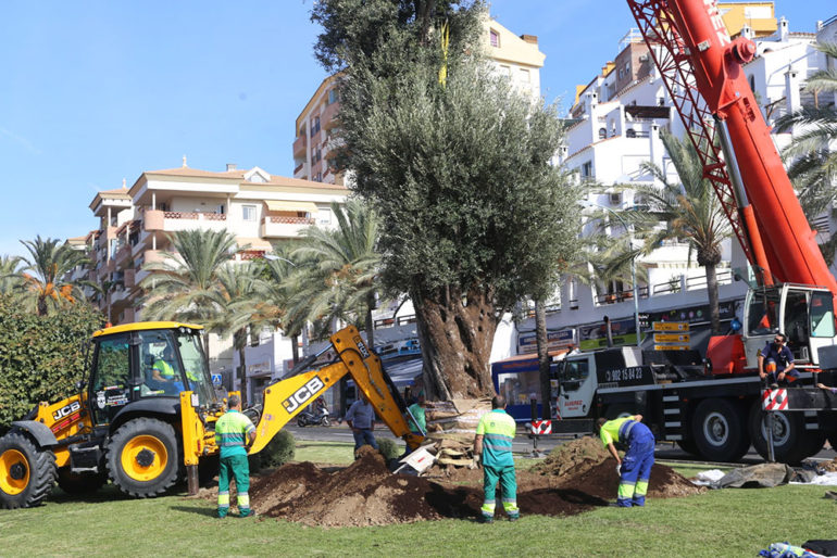El concejal ha anunciado que están barajando la posibilidad de cambiar la ubicación del conjunto escultórico que hasta ahora decoraba esta glorieta