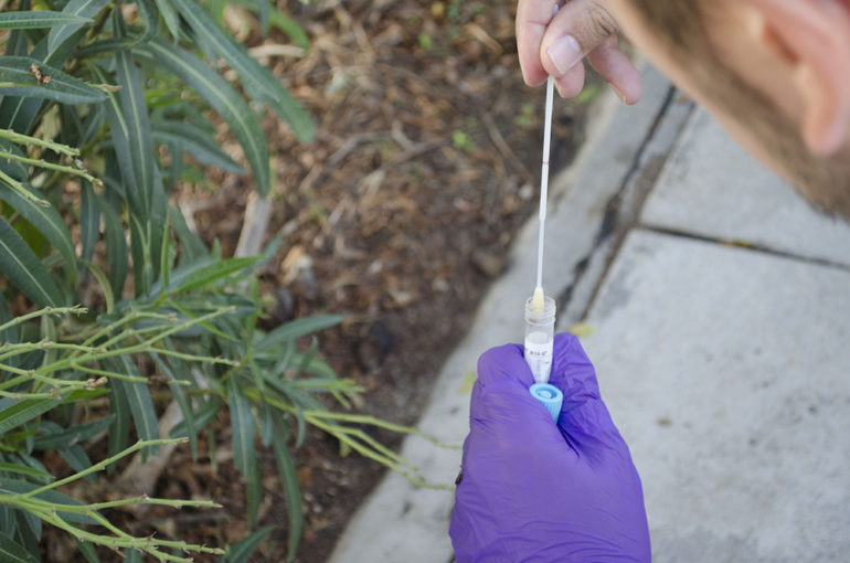 “El ADN canino constituye una huella genética imborrable e inalterable, a través de la cual podemos identificar quién es el dueño de la mascota.", ha explicado la concejala de Sanidad, Alicia Laddaga