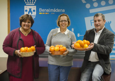 “Con esta actividad recomendamos a los estudiantes que cambien cada día en el recreo el bocata o el dulce por una pieza de fruta”, ha recalcado la concejala de Sanidad, Alicia Laddaga