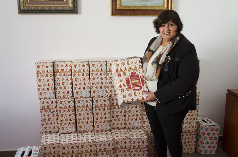 “Como cada año, la delegación de bienestar social adquiere cestas de Navidad para entregarlas a los usuarios más necesitados, intentando de esta manera transmitirles la alegría característica de estas fechas”, ha declarado Alicia Laddaga