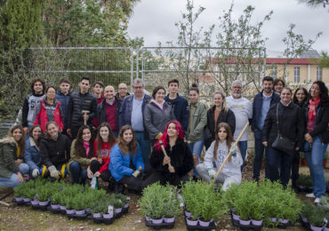“Queremos ser un ejemplo para otros institutos, para que se animen a realizar sus propios huertos”, ha destacado la delegada de 2º de Bachillerato de Ciencias de la Salud, Ana López Montero