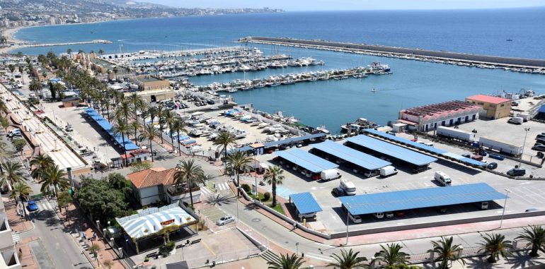 Las empresas tendrán hasta el 29 de enero para presentar sus ofertas a estos trabajos por un importe de 229.000 euros