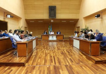 Se trata de una propuesta que ha partido de la Mesa de Turismo de la ciudad, donde están representados los principales agentes del ramo