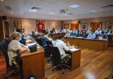 El pleno aprobó esta mañana la adhesión