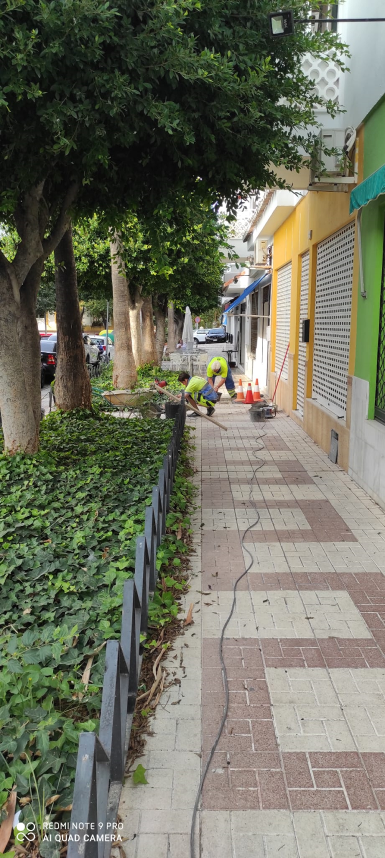 SERVICIOS OPERATIVOS