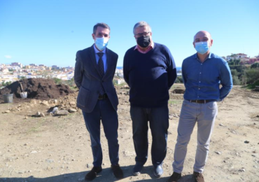 Árboles plantados en los terrenos del futuro parque IBN Al-Baytar